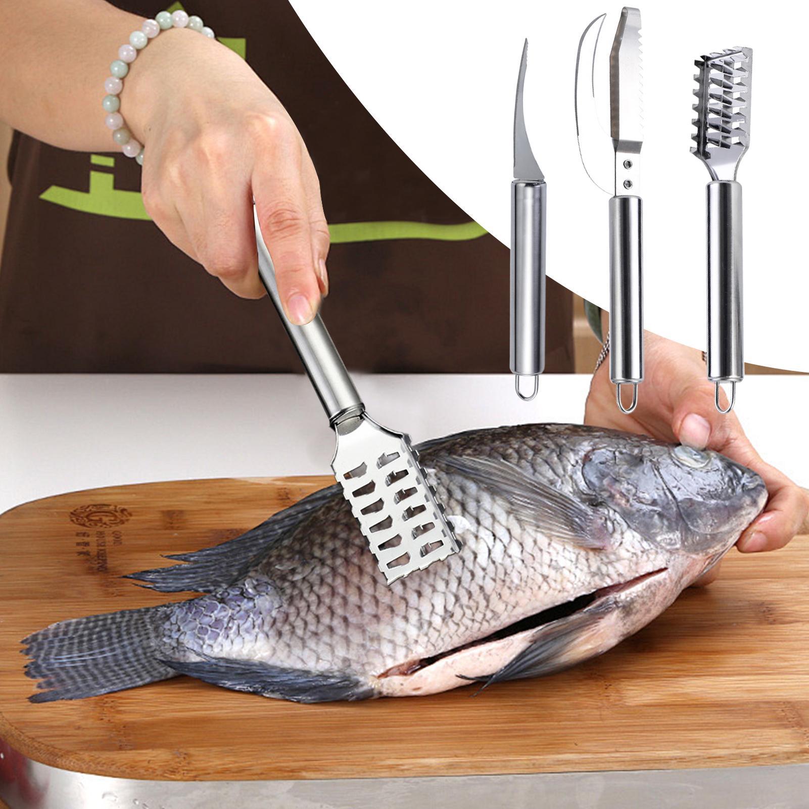 Couteau à écailler le poisson, - Kitchen Gadgets List avis et prix