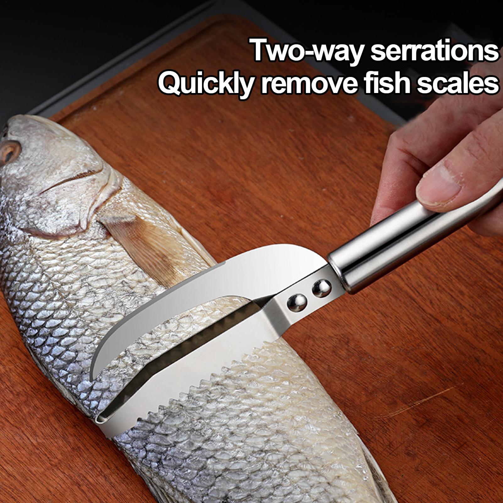 Couteau à écailler le poisson, - Kitchen Gadgets List avis et prix